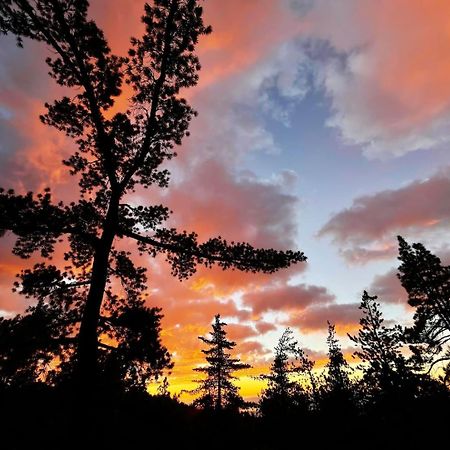 Dog Friendly A-Frame Hot Tub Nature Views Villa Idyllwild Esterno foto