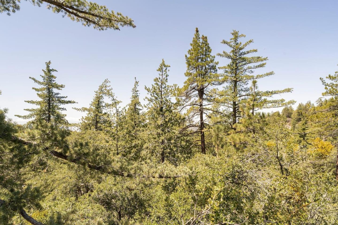 Dog Friendly A-Frame Hot Tub Nature Views Villa Idyllwild Esterno foto