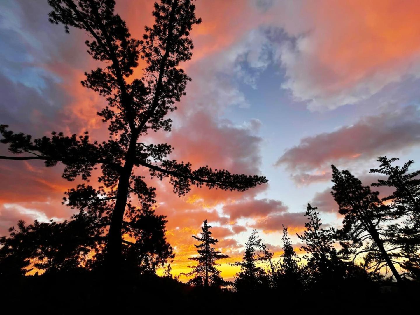 Dog Friendly A-Frame Hot Tub Nature Views Villa Idyllwild Esterno foto